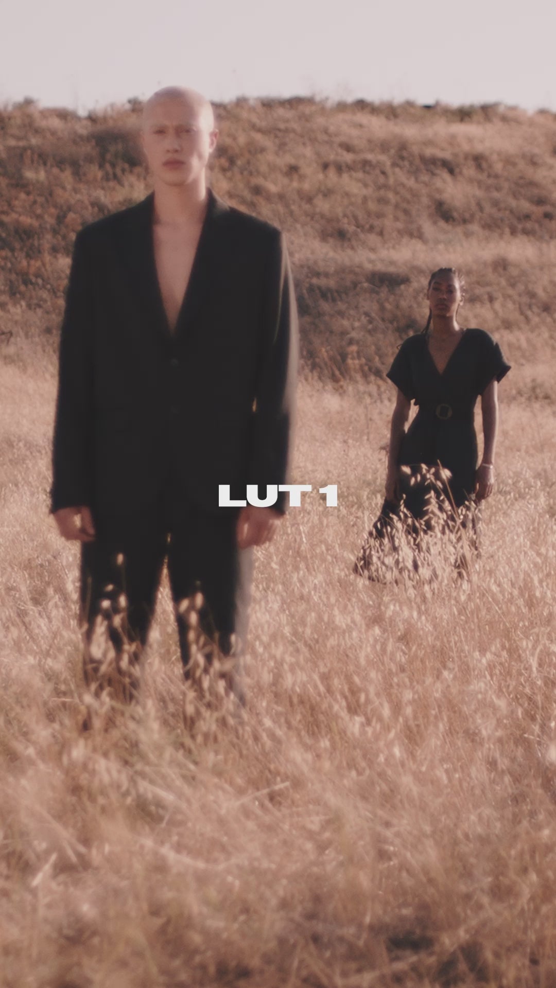 VINTAGE - LUT Pack – Vincentcolorfilm