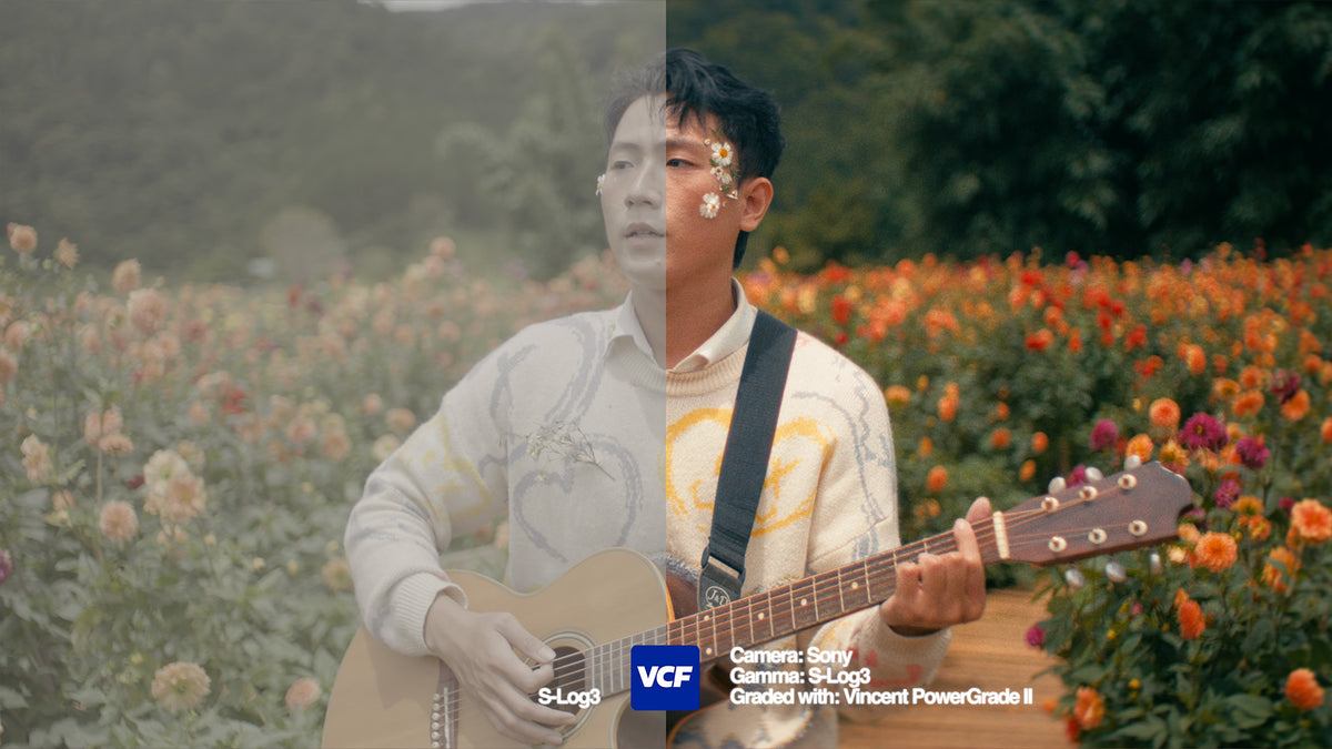 Vincent ProGrade II — powergrade