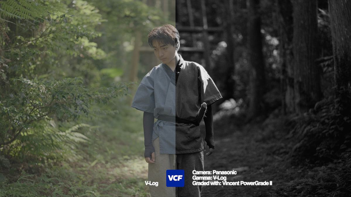 Vincent ProGrade II — powergrade
